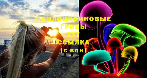 спайс Алзамай