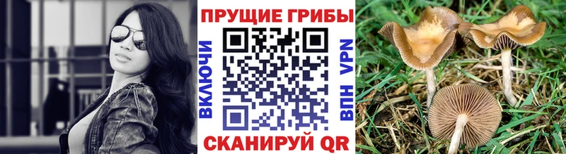 Галлюциногенные грибы мухоморы  Заволжск 